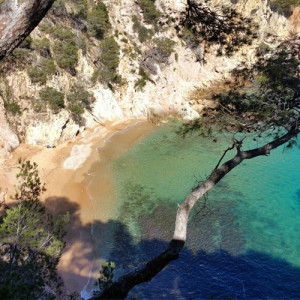 cala futadera tossa de mar