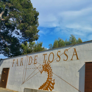 far tossa 500x500