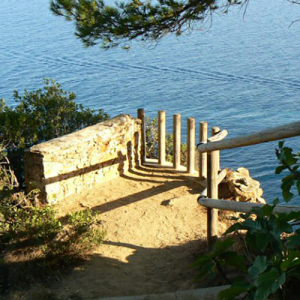 mirador 500x500